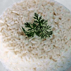 Best Arroz in New Rochelle, NY